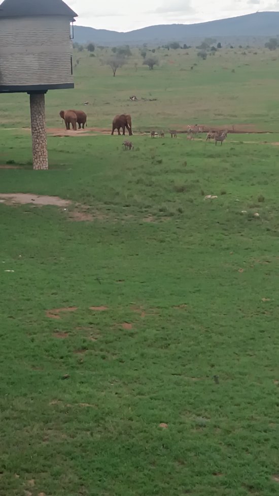 萨尔特利克野生动物园小屋-酒店景观