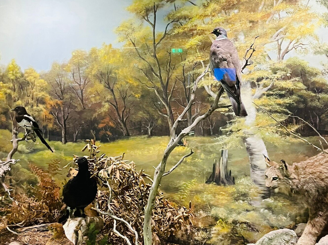 Natural History Museum of Meteora & Mushroom Museum-卡兰巴卡必去景点