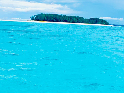 Mnemba Island-姆内巴必去景点