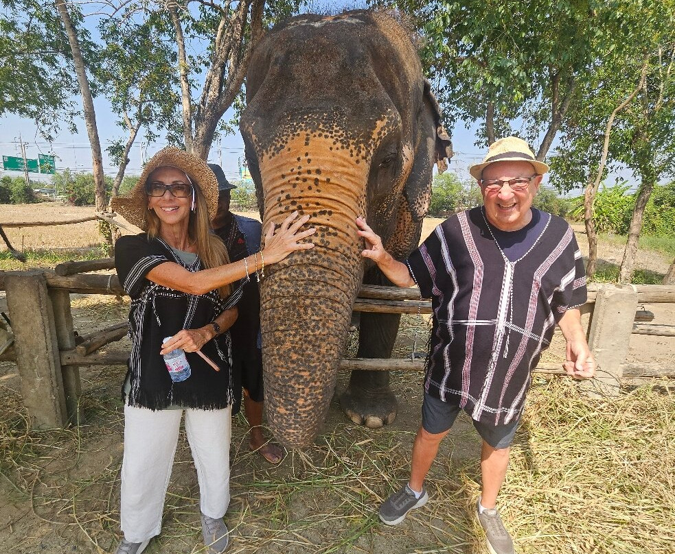 Bangkok Elephant Care Sanctuary-北碧必去景点