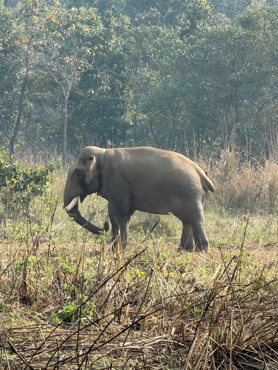 奇旺韦斯滕德索尔蒂度假村-官方
