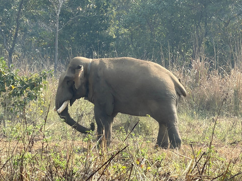 奇旺韦斯滕德索尔蒂度假村主图