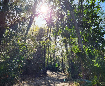 Fort Caroline National Memorial-杰克逊维尔必去景点