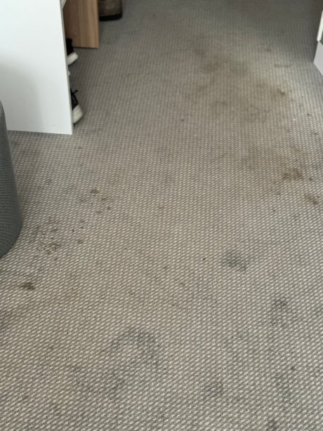 罗森海姆智选假日酒店-客卧