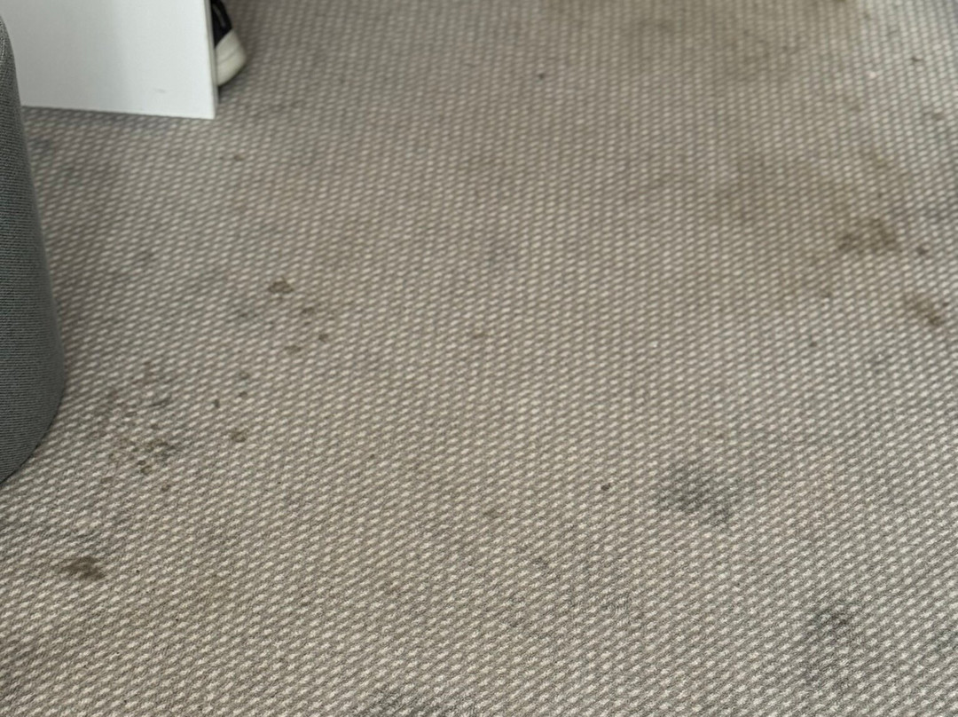 罗森海姆智选假日酒店主图