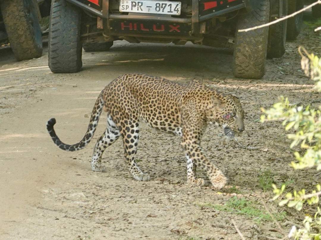 Araliya Lanka Tours-因都鲁瓦必去景点