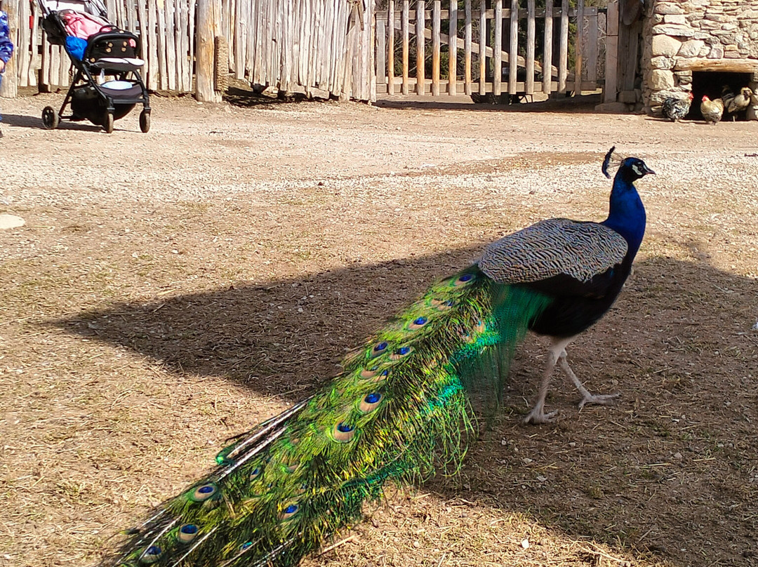 Fattoria Rainguthof-Tesimo必去景点