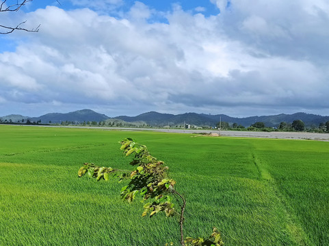 Easy Riders Hoi An-岘港必去景点