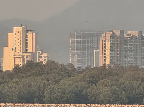 Wildnest Travel & Photography-孟买必去景点