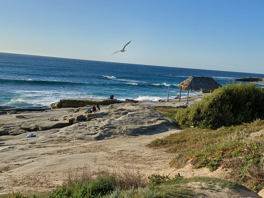 肖雅佐拉海滩酒店主图