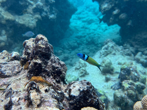 Boat Serenity-Baie Nettle必去景点