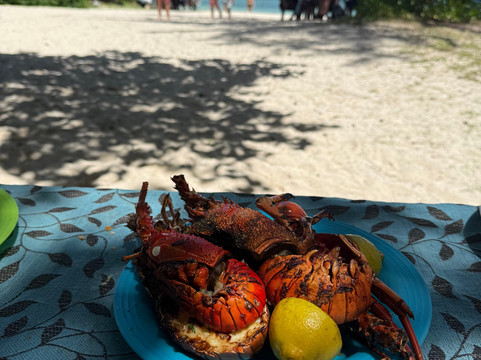 Taxi Mauritius Transfer-博巴森-荷津必去景点