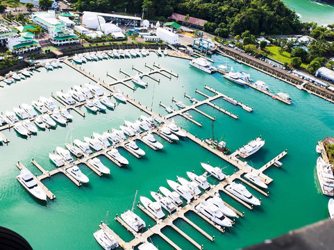 Vuelos Recreativos Pura Vida-San Isidro del General必去景点