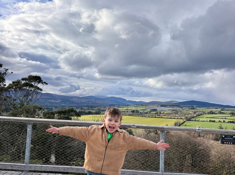 Treetop Walk Avondale-Rathdrum必去景点