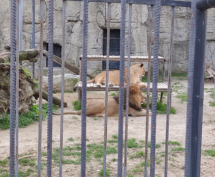 Tarsus Hayvan Parkı-Tarsus必去景点
