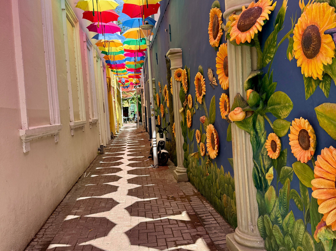 Dushi TukTuk Rentals-威廉斯塔德必去景点