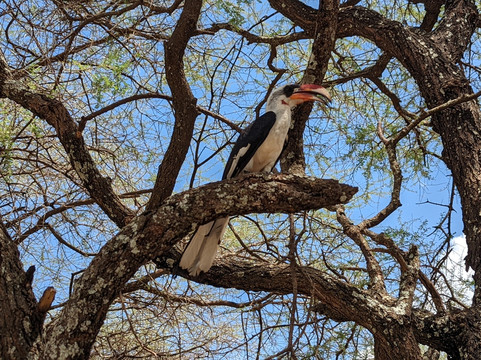Mamnana Adventures-Olasiti必去景点