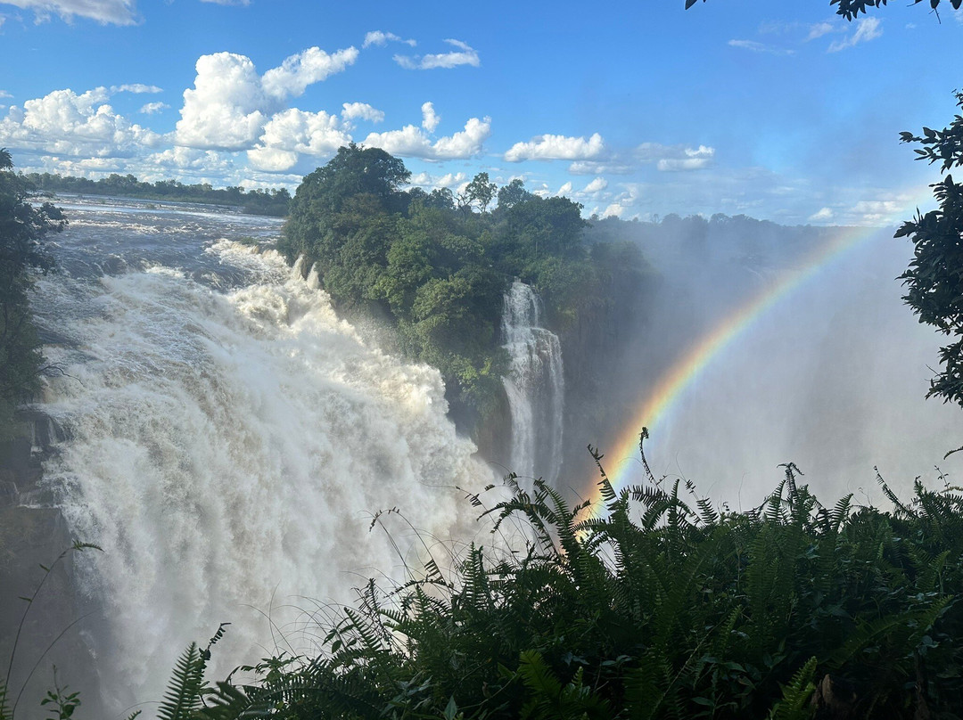 Victoria Falls-李文斯顿必去景点
