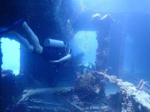 Reefers & Wreckers Dive Shop-Speightstown必去景点