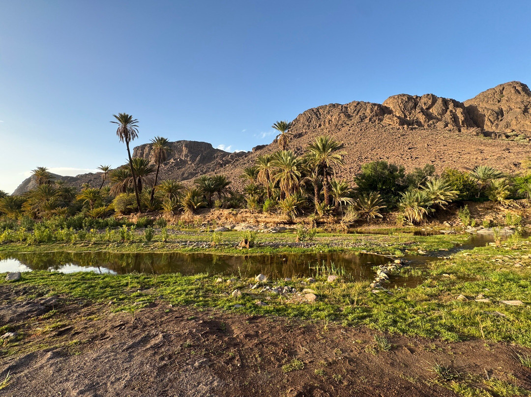 Dades Aventures - Day Tours-瓦尔扎扎特必去景点