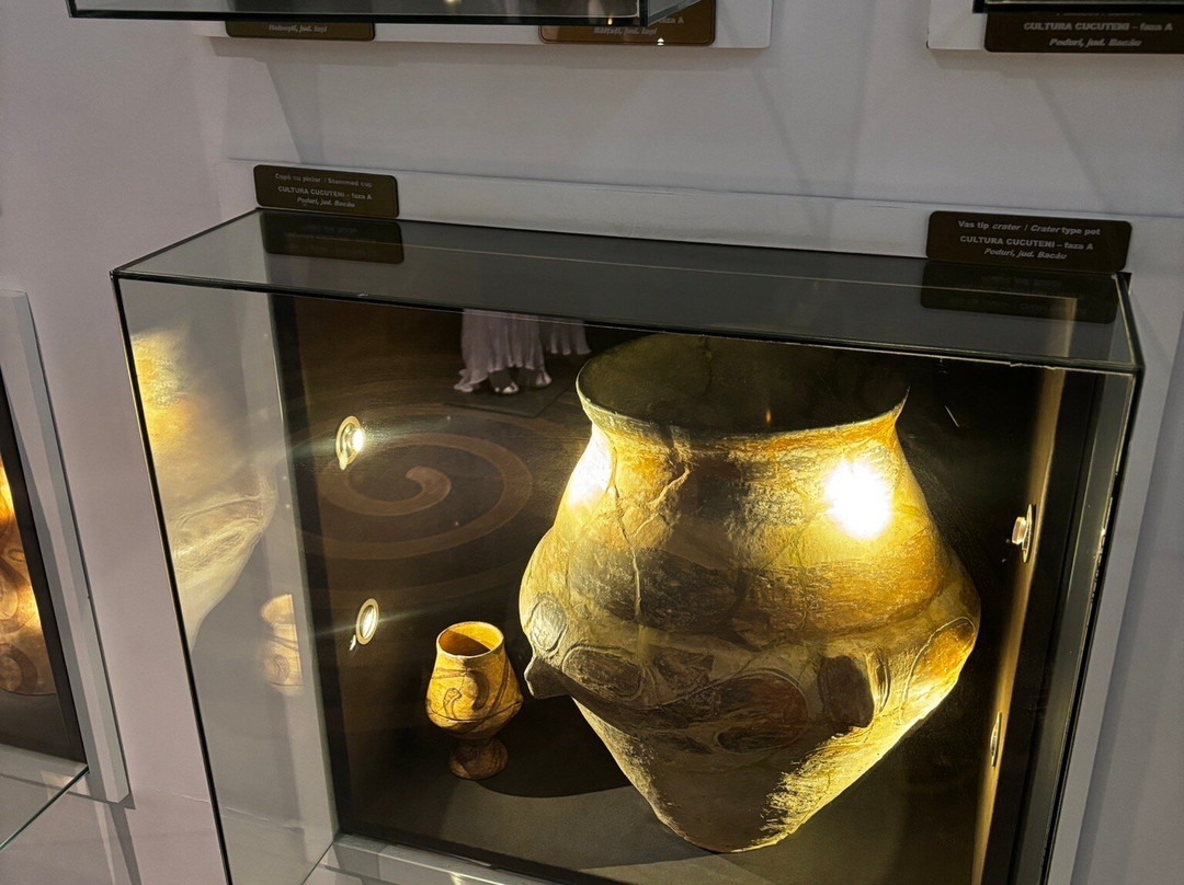 Muzeul Universitatii Alexandru Ioan Cuza-雅西必去景点