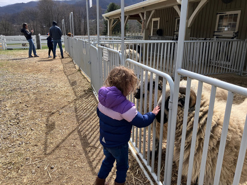 Winchester Creek Farm-韦恩斯维尔必去景点