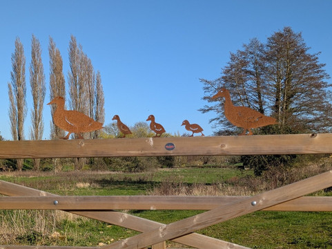 Brockadale Nature Reserve-庞蒂弗拉克特必去景点
