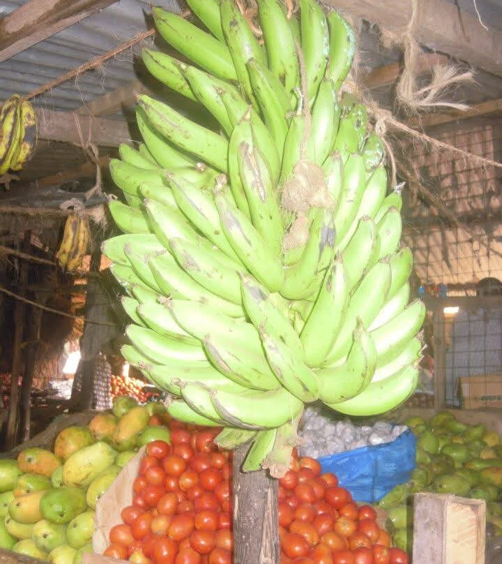 Info Kenya Tours-瓦塔木必去景点