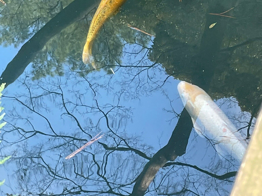 东京都庭园美术馆-Shirokanedai必去景点