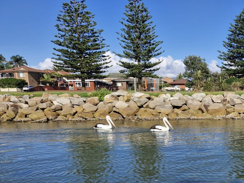 Stand Up Paddle Boarding Shellharbour-谢尔哈伯必去景点