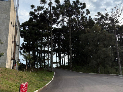 TRI 酒店安东尼奥普拉多主图