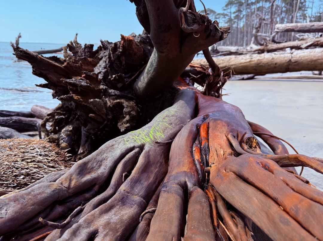 St. Phillips Island Ferry-Saint Helena Island必去景点