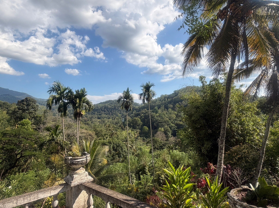 斯特拉塞斯茶园简易别墅旅馆主图