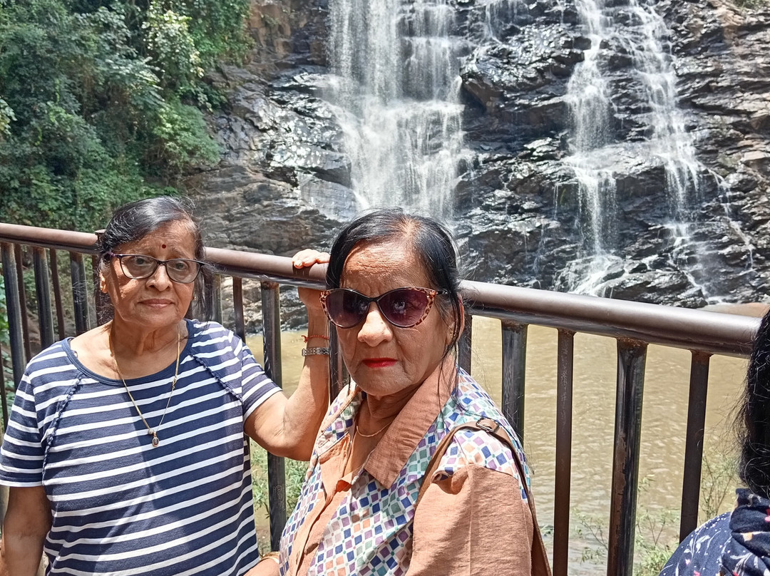 Travel Fair India - Day Tours-新德里必去景点
