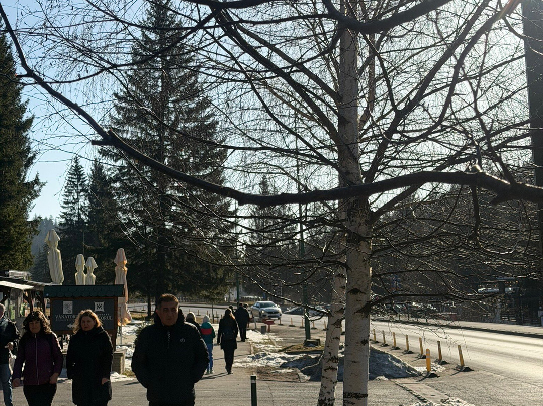 Poiana Brasov-波亚纳布拉索夫必去景点