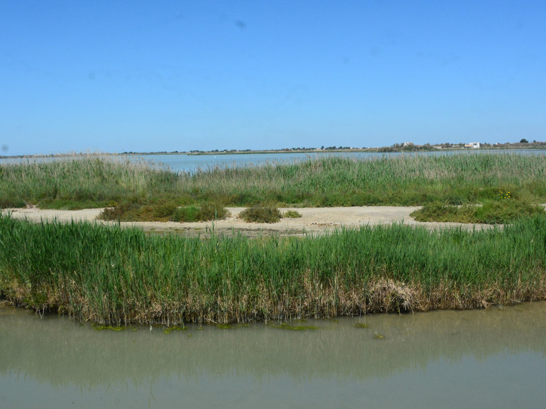 Etang Des Launes