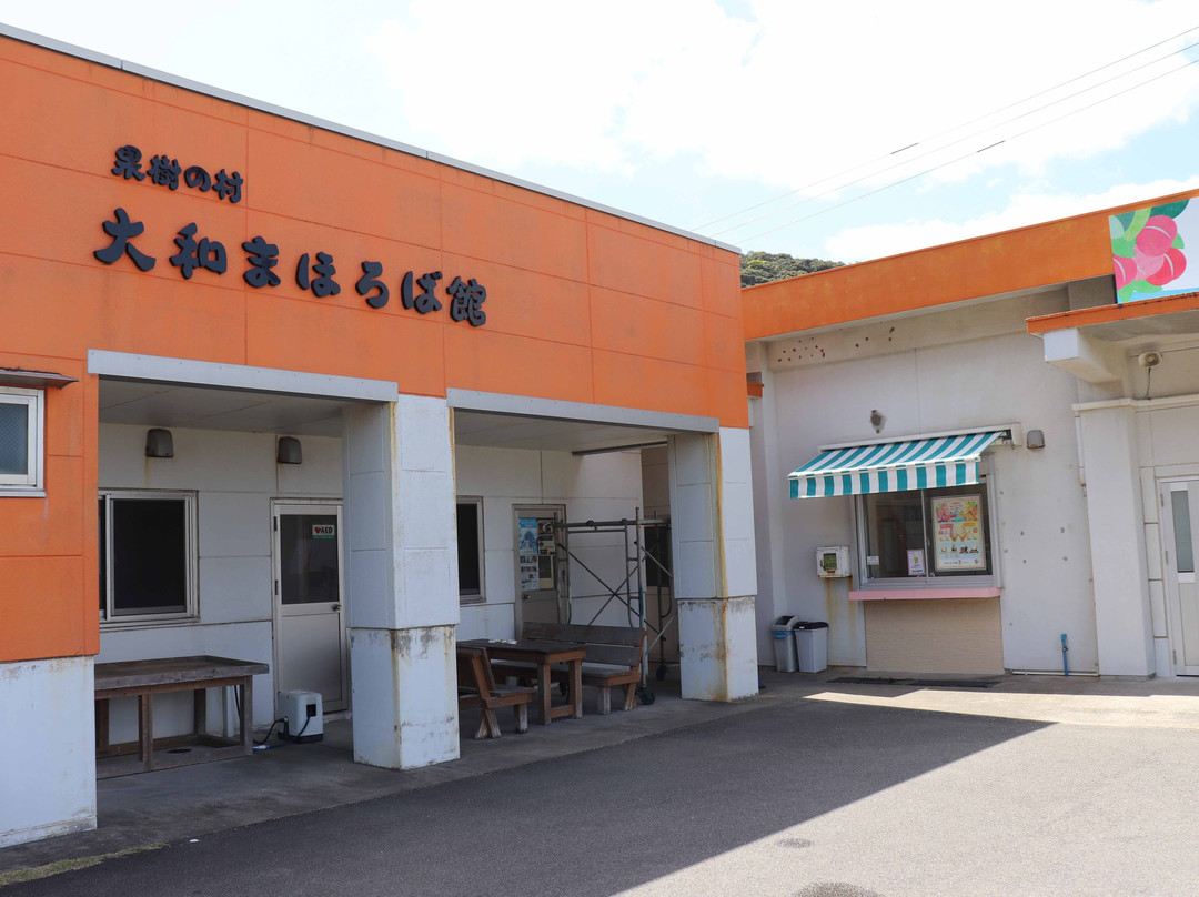 Amamigunto National Park-奄美市必去景点