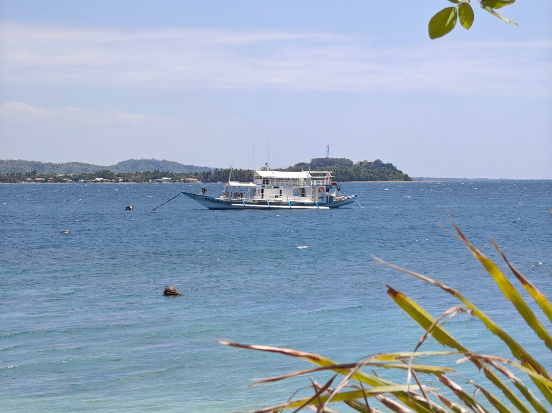 Apo Reef Natural Park-Sablayan必去景点