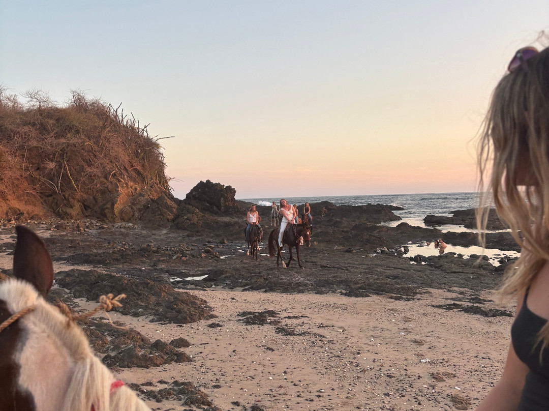 Guti Tours-Playa Avellanas必去景点