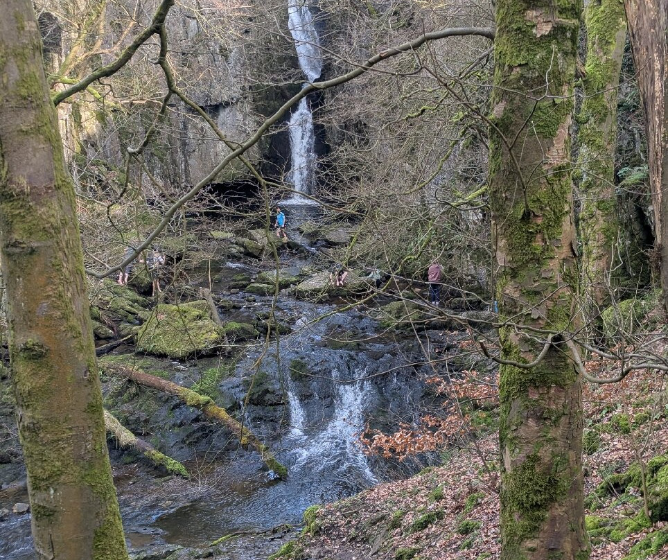 中央史塔佛农场民宿主图