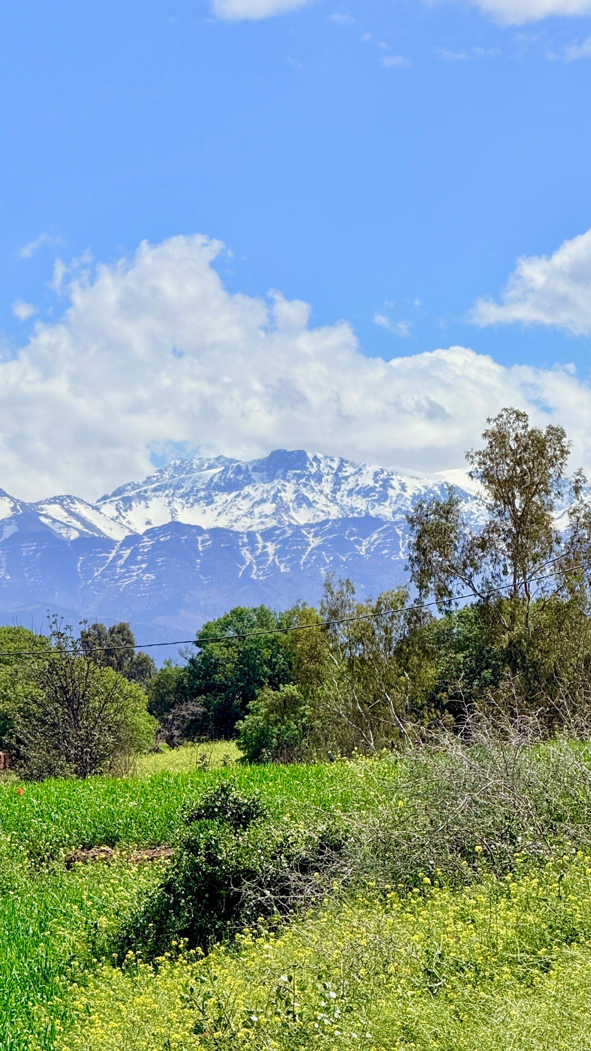 罗西莱公园度假村-官方