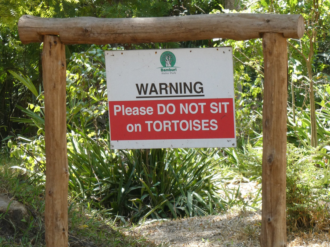 Haller Park-蒙巴萨必去景点