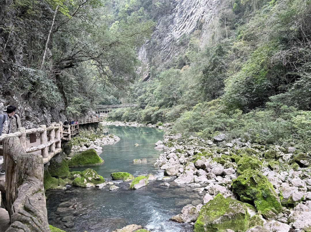 樟江景区-荔波县必去景点
