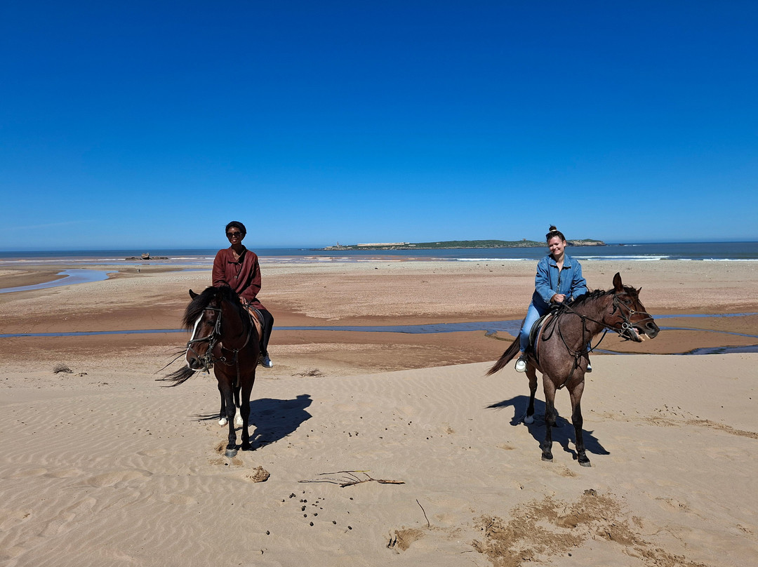 Mohammed - Simo Horses Essaouira