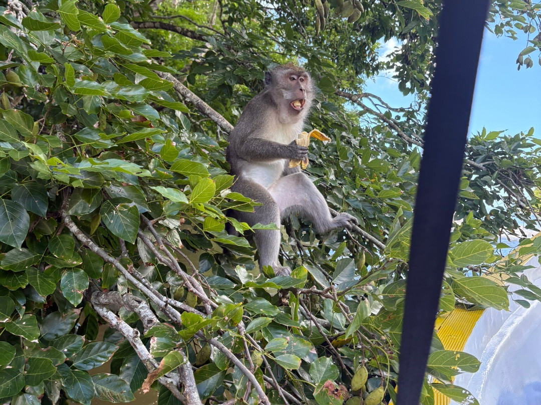 Beluga Tours-东南大河必去景点