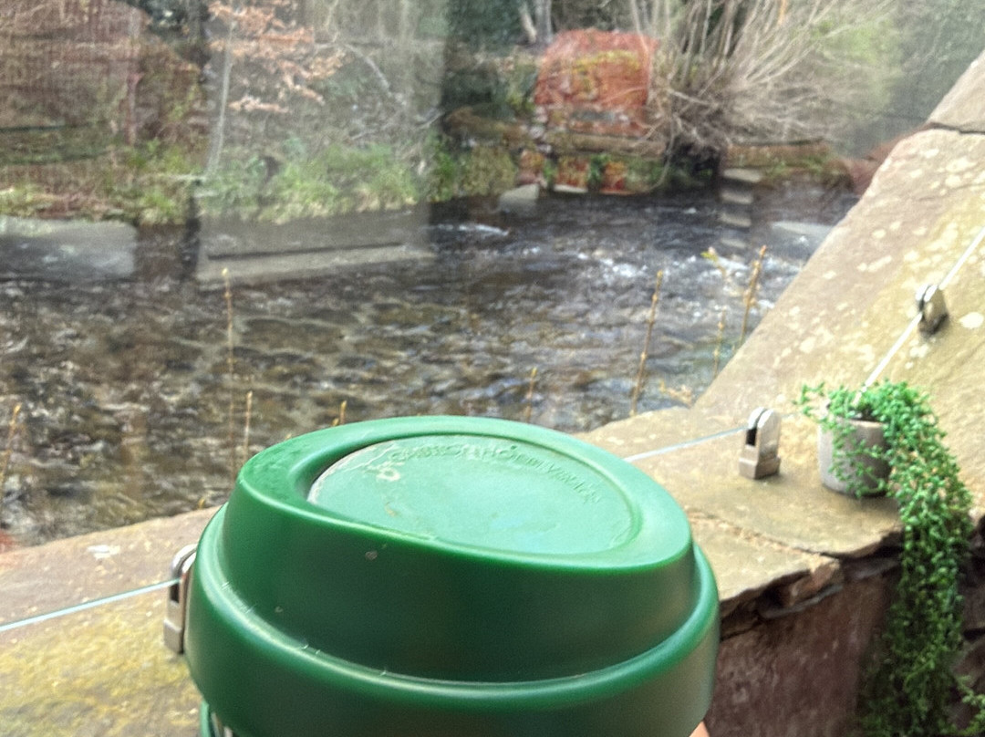 桥屋酒店 & 西尔弗豪景观乡村别墅主图