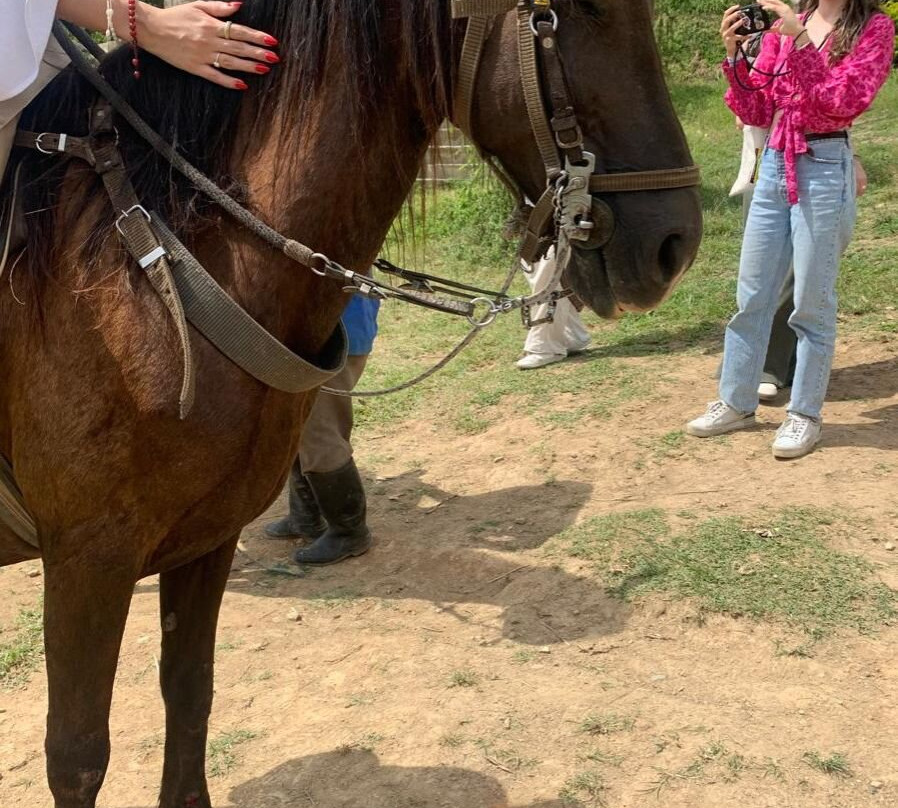 Arrieros Travel-Ciudad Bolivar必去景点