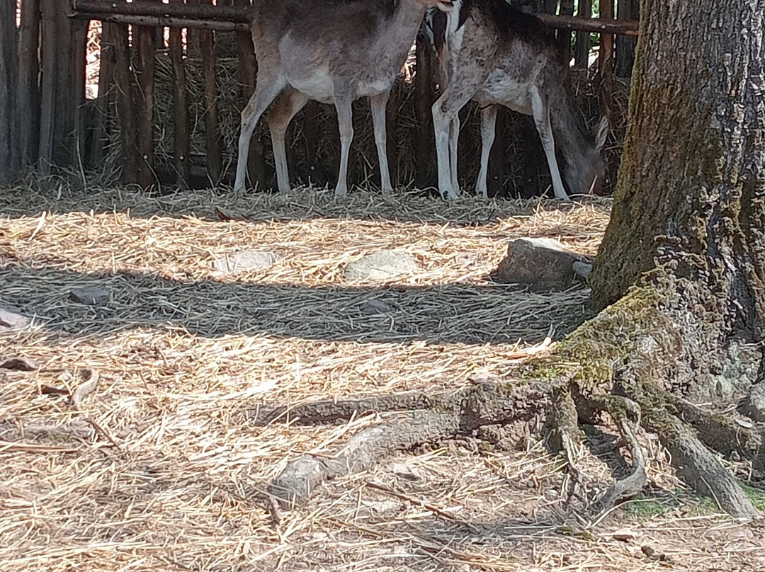Archeopark-Boario Terme必去景点