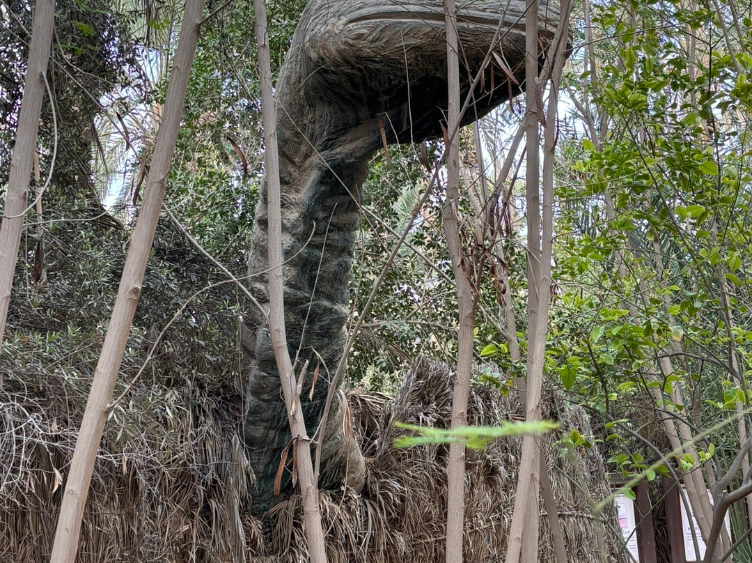 Chak Wak-吐泽尔必去景点