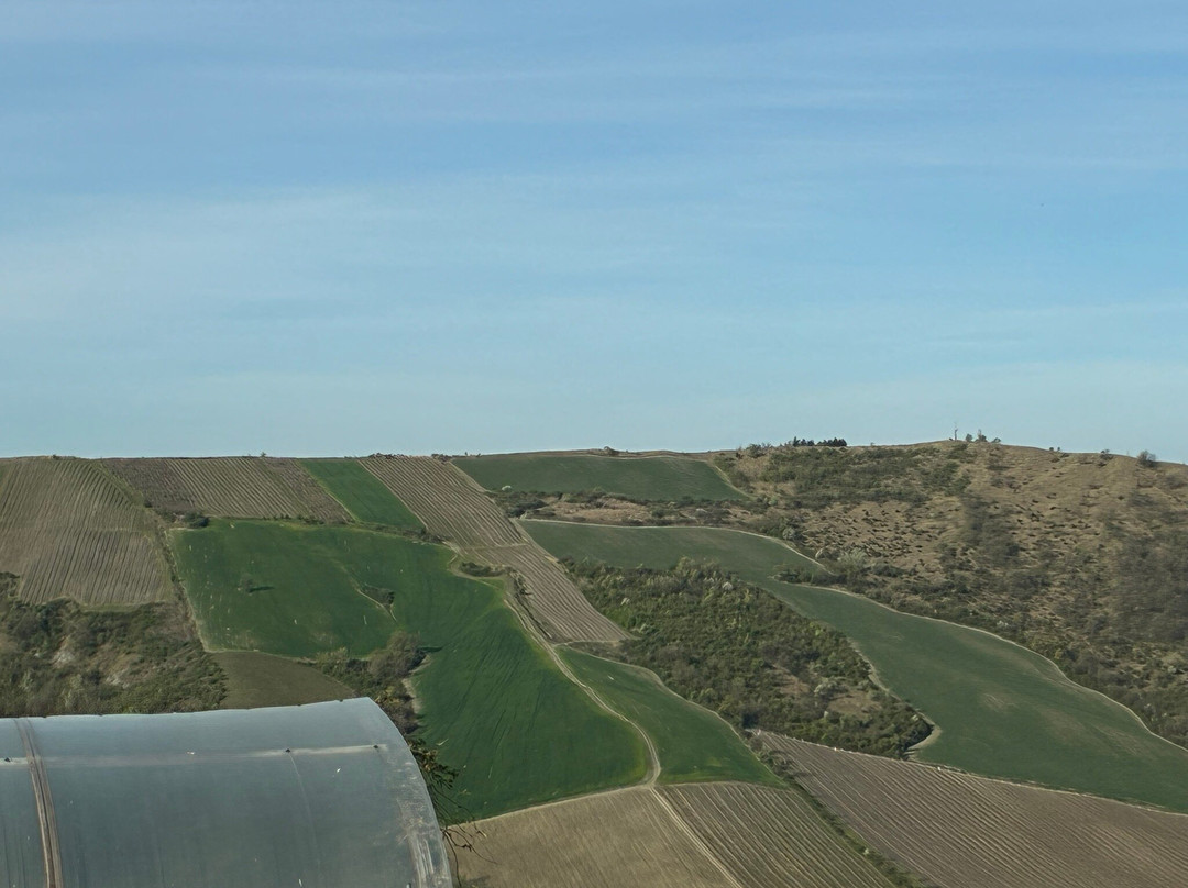 Agriturismo Cella di Montalto主图